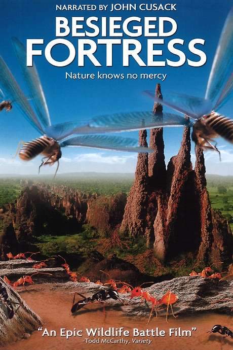 The Besieged Fortress
